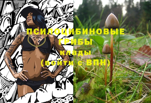синтетический гашиш Белокуриха